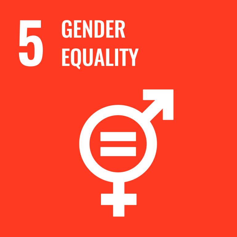 gender equality — UN Sustainable Development Goal